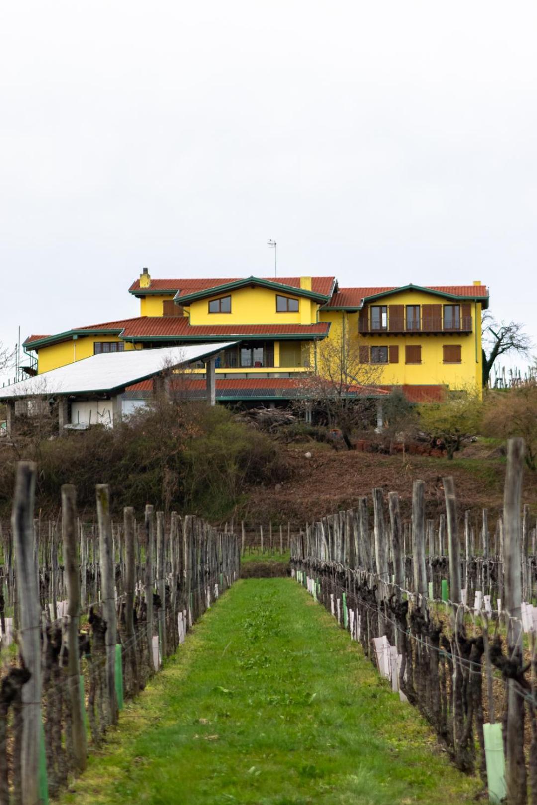 Agriturismo Nema Mossa 外观 照片